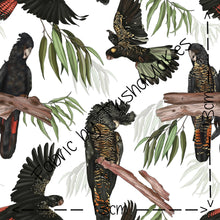 Load image into Gallery viewer, ROUND 22 - Exclusive Bill & Belle Black Cockatoos