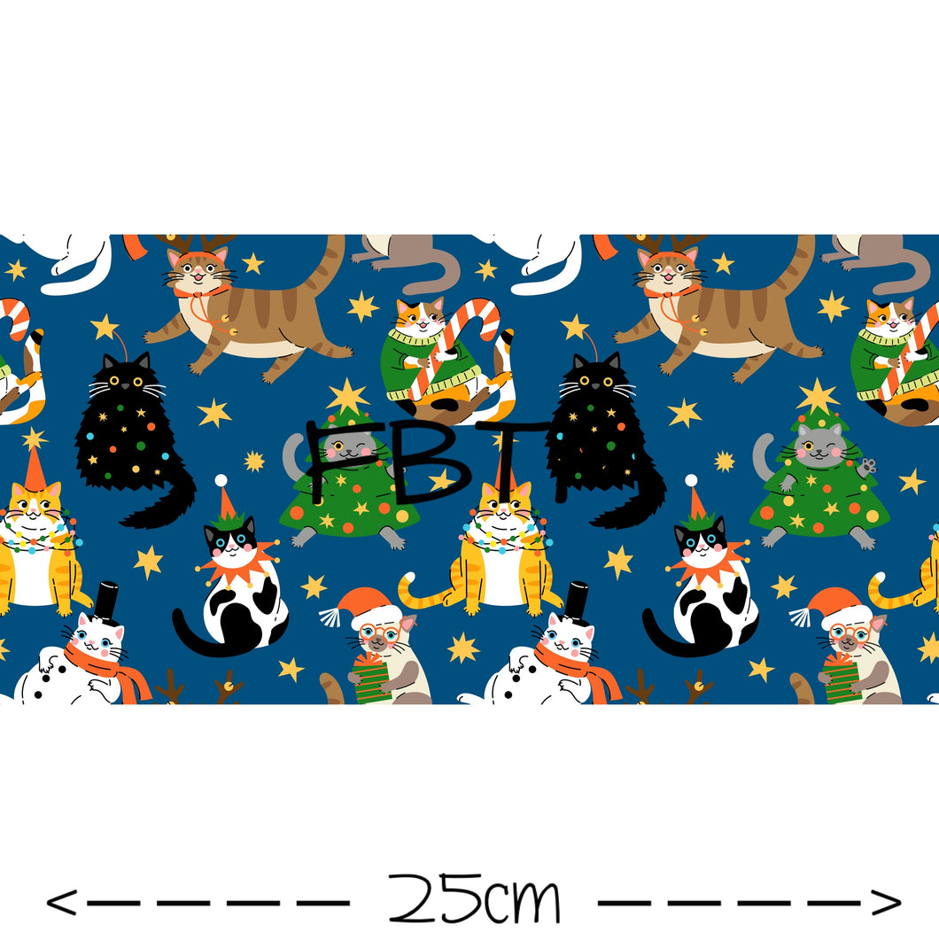 ROUND 52 - Xmas Kitties