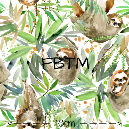 ROUND 46 - Climbing Sloths