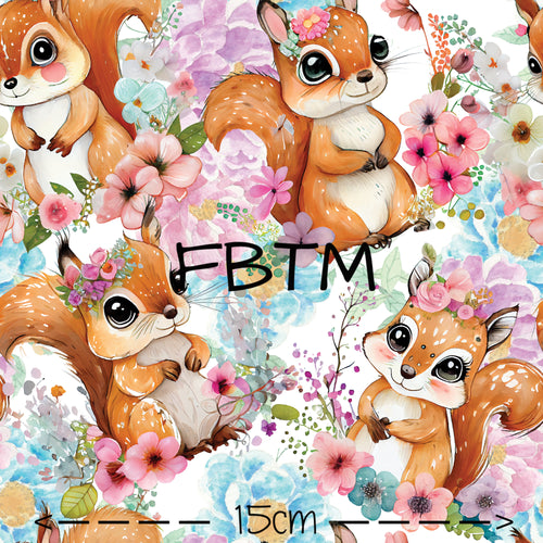 ROUND 47 - Squirrels are Cute