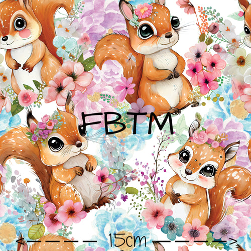 PREORDER ROUND 47 (12-19th APRIL) - Squirrels are Cute