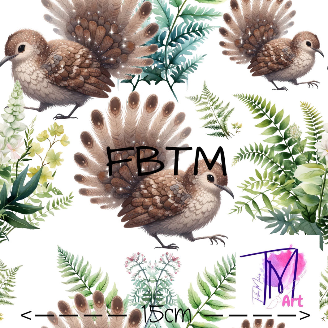 ROUND 60 - Exclusive Lyrebirds on White