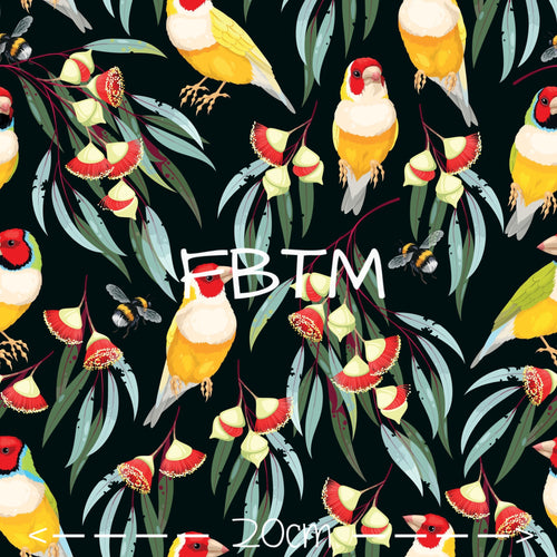 THEME #26 - Gouldian Finches