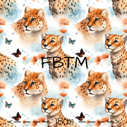 ROUND 43 - Wild Cats