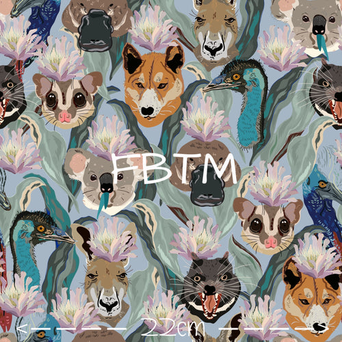 ROUND 46 - Animals of Australia