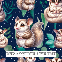 Load image into Gallery viewer, MYSTERY PRINT - PREORDER ROUND 65 (12-19th October)