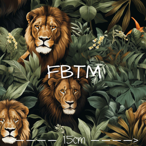 ROUND 48 - Eyes of the Jungle