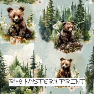 MYSTERY PRINT - PREORDER ROUND 48 (12-19th MAY)