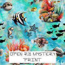 Load image into Gallery viewer, MYSTERY PRINT - PREORDER ROUND 65 (12-19th October)