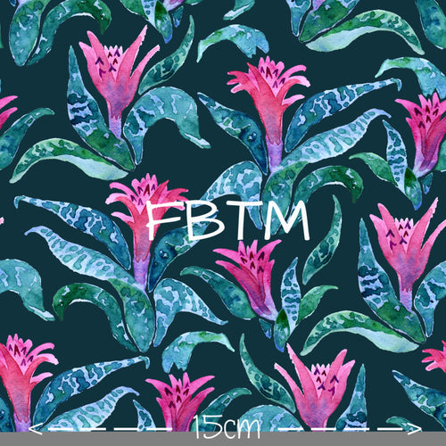 ROUND 41 - Aechmea Floral