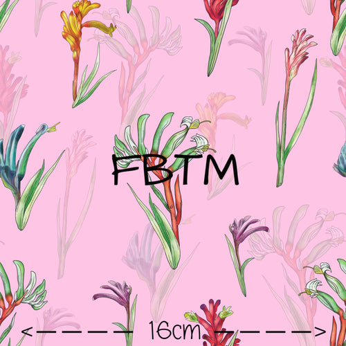 ROUND 43 - Exclusive Kangaroo Paw on Pink (POPLIN)