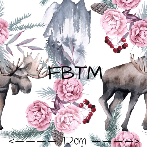 ROUND 48 - Moose Mountains