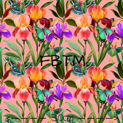 ROUND 48 - Colourful Iris’