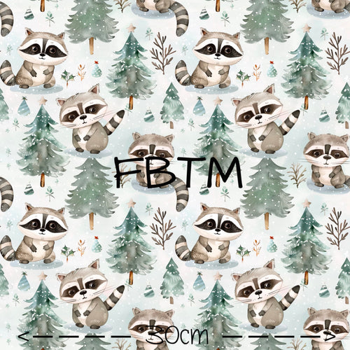 ROUND 58 - Winter Raccoons