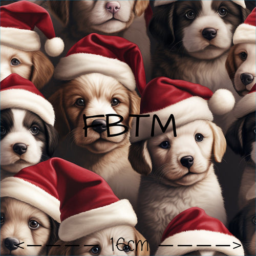 ROUND 40 - Festive Pups