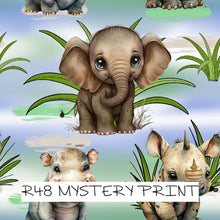 Load image into Gallery viewer, MYSTERY PRINT - PREORDER ROUND 65 (12-19th October)