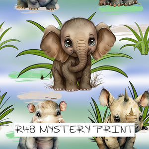 MYSTERY PRINT - PREORDER ROUND 65 (12-19th October)