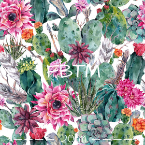 ROUND 50 - Succulents In Bloom