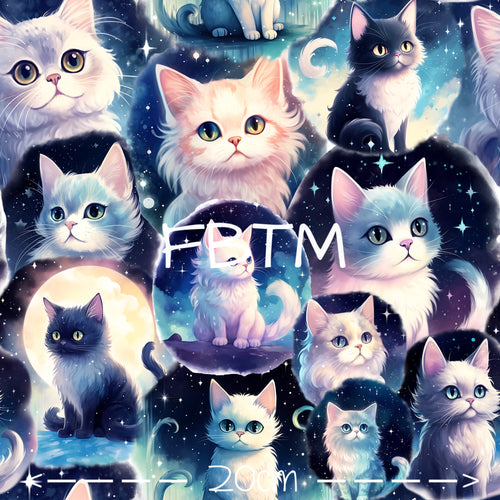 ROUND 41 - Night Cats