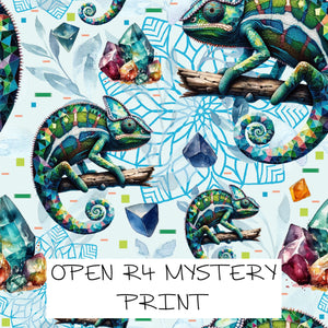 MYSTERY PRINT - PREORDER ROUND 65 (12-19th October)