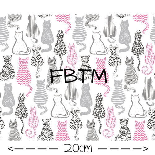 ROUND 42 - Kitty Tales