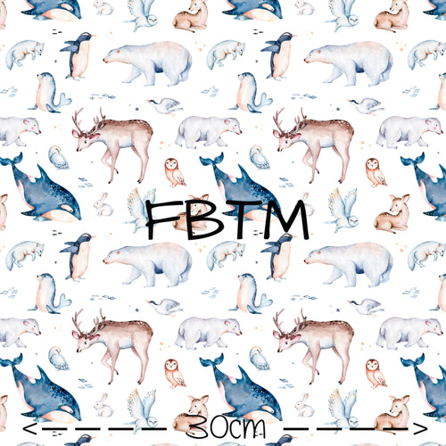 ROUND 52 - Arctic Animals 2.0