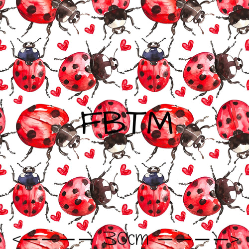 ROUND 53 - Lovely Ladybugs