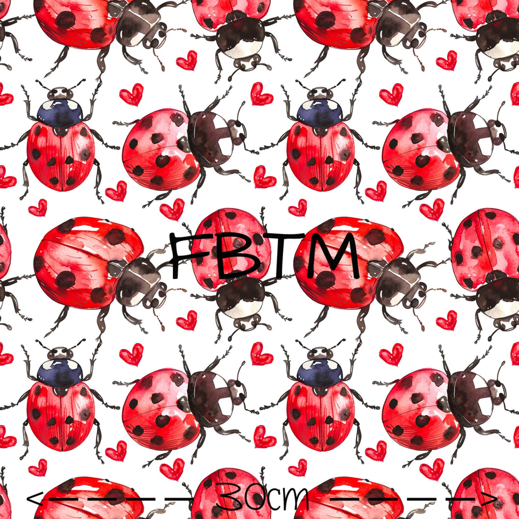 ROUND 53 - Lovely Ladybugs