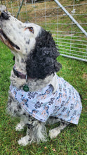 Load image into Gallery viewer, THEME #27 - Exclusive Will Sit For Treats