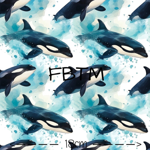 ROUND 63 - Orcas