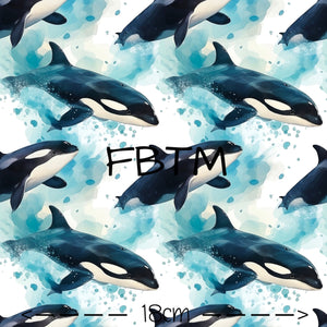 ROUND 63 - Orcas