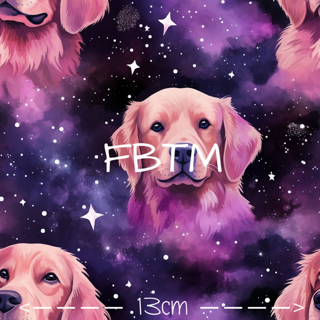 ROUND 64 - Galaxy Retreivers