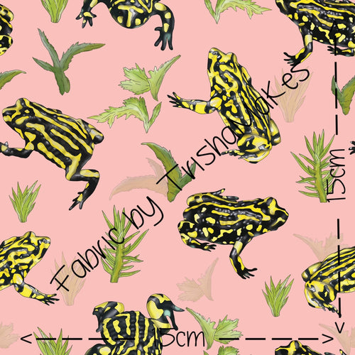 THEME RND 16 - EXCLUSIVE Cobba the Corroboree Frog on Pink (PUL)
