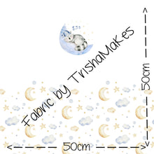 Load image into Gallery viewer, ROUND 15 - Sleeping Raccoon