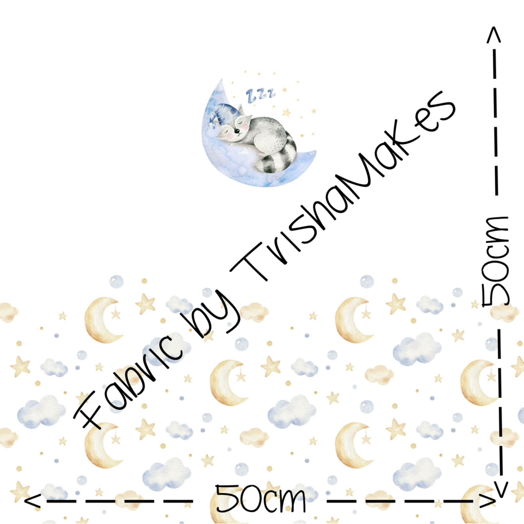 ROUND 15 - Sleeping Raccoon