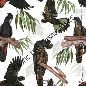 ROUND 22 - Exclusive Bill & Belle Black Cockatoos (COTTON LYCRA)