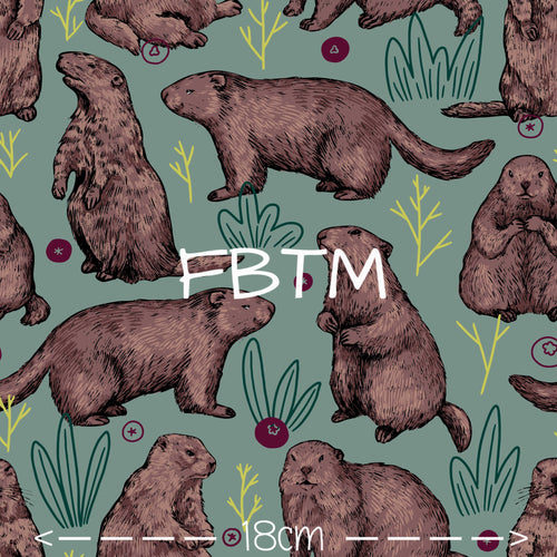 ROUND 36 - Otter Nonsense