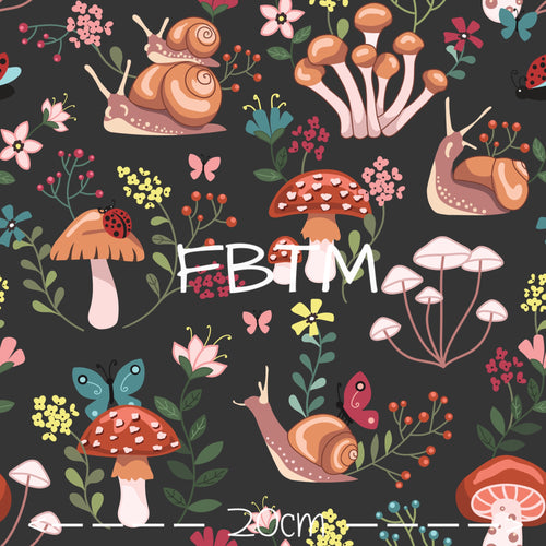 ROUND 37 - Snail Tales