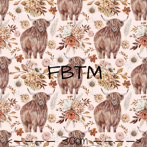 ROUND 34 - Highland Cows