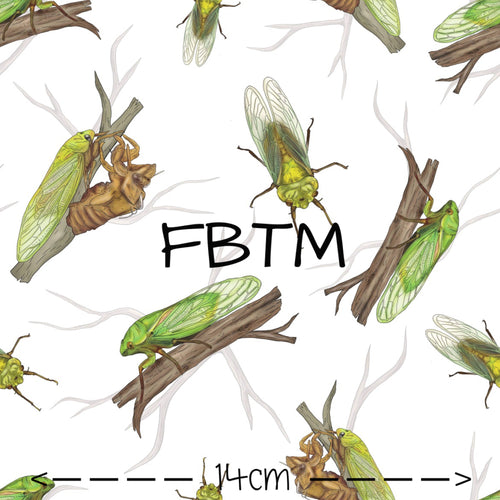 EXCLUSIVE ROUND 27 - Carter the Cicada