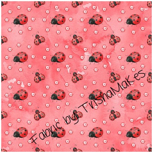 ROUND 1 - Sweet Lady Bugs