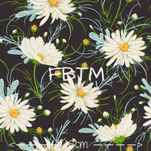 Load image into Gallery viewer, ROUND 29 - Chamomile Flowers