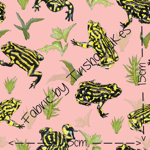 THEME RND 16 - EXCLUSIVE Cobba the Corroboree Frog on Pink (FRENCH TERRY)