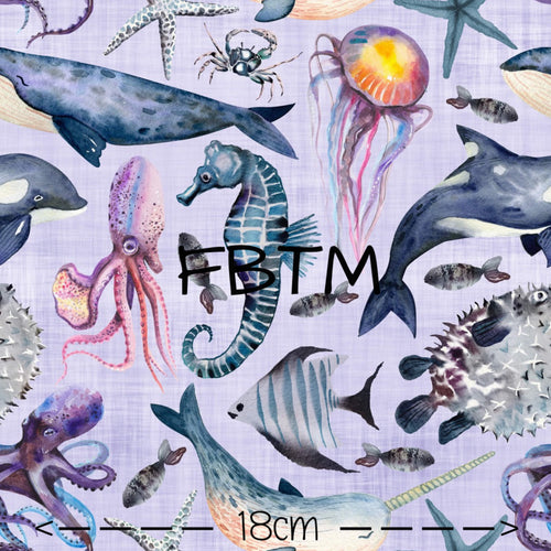 ROUND 29 - Ocean Friends