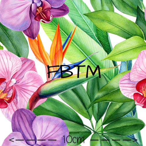 ROUND 24 - Garden Party