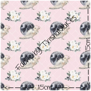THEME ROUND 3 - Moons & Owls