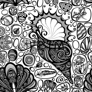 THEME ROUND 19 - Black and White Shells