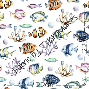ROUND 23 - Fish in the Sea
