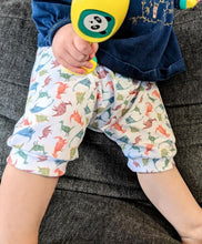 Load image into Gallery viewer, THEME ROUND 12 - Dino Craze