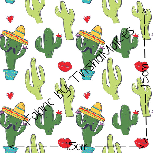 THEME ROUND 11 - Mexico (Cactus)